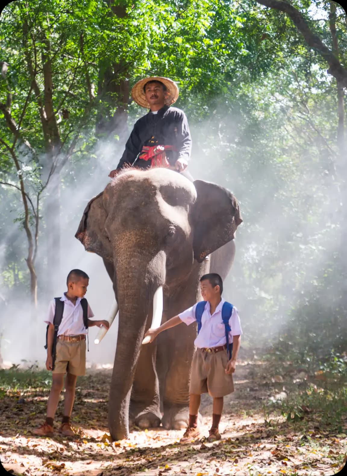 Elephant Trekking