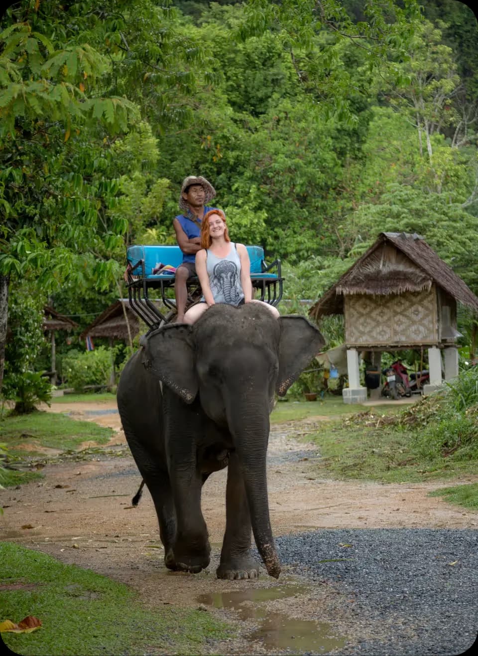 Safari Tour