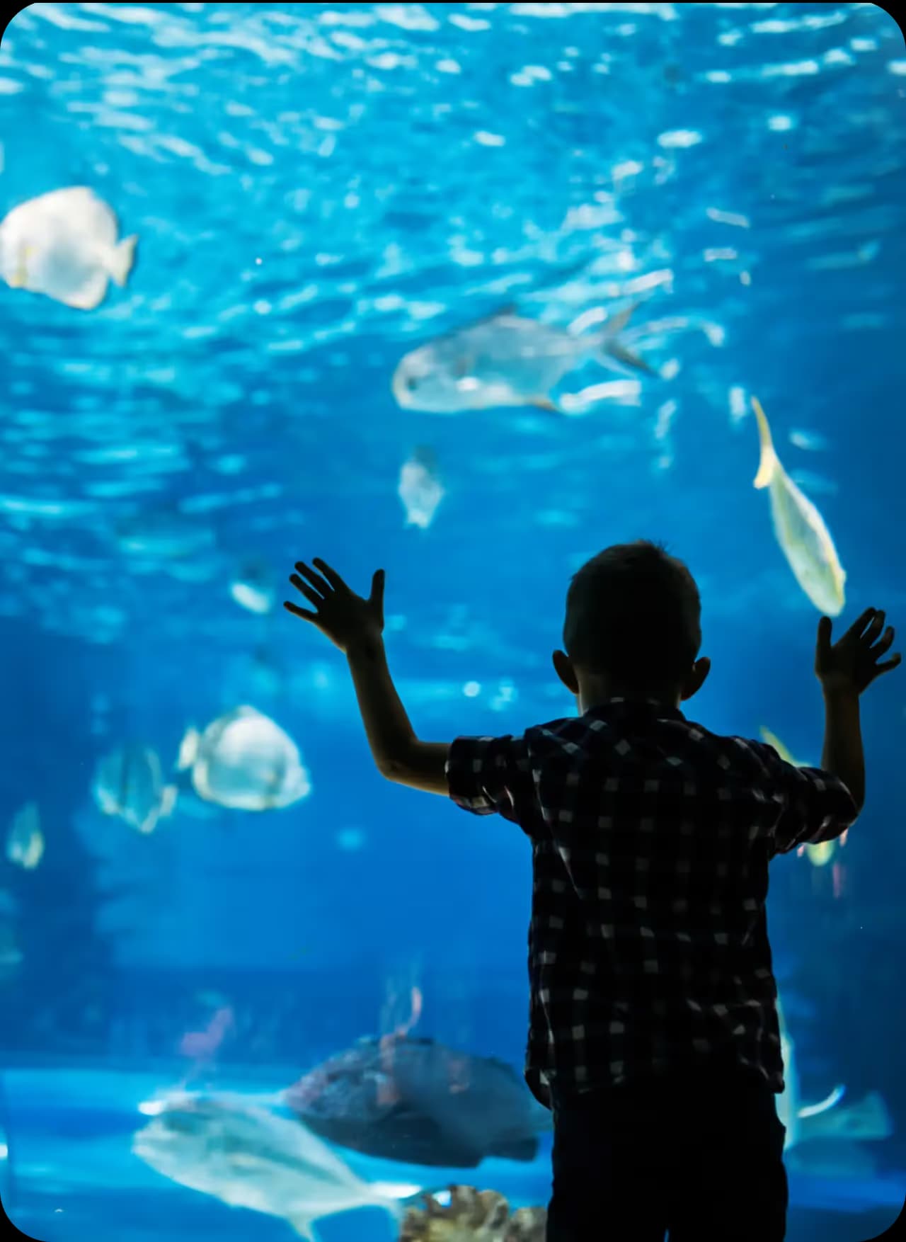 Underwater World