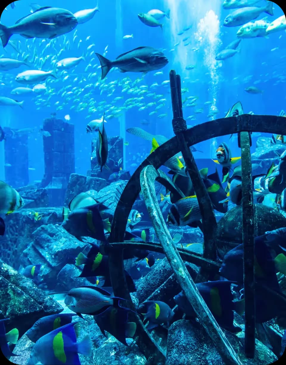 Aquaventure Lost Chambers