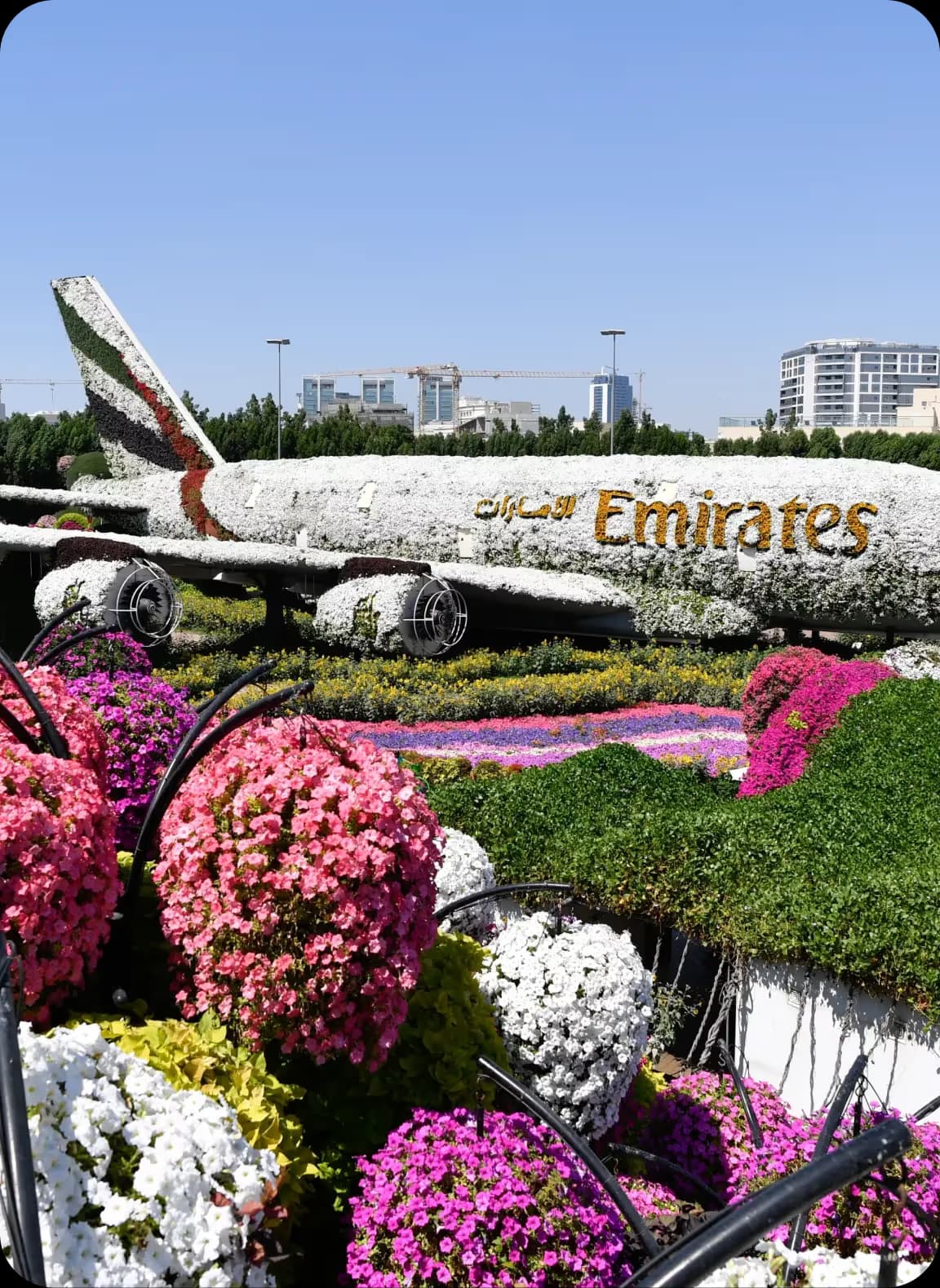 Miracle Garden