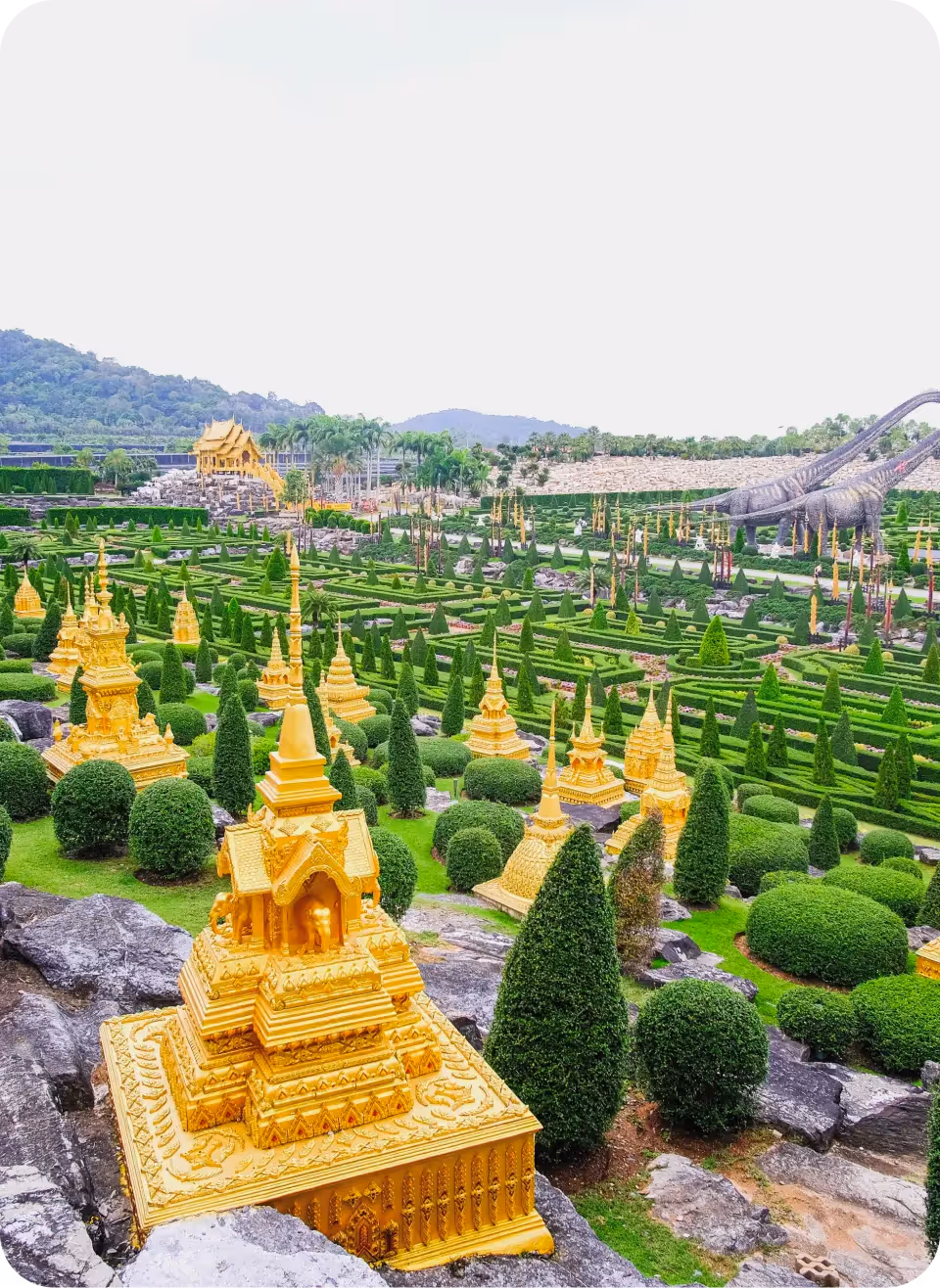 Nong Nooch